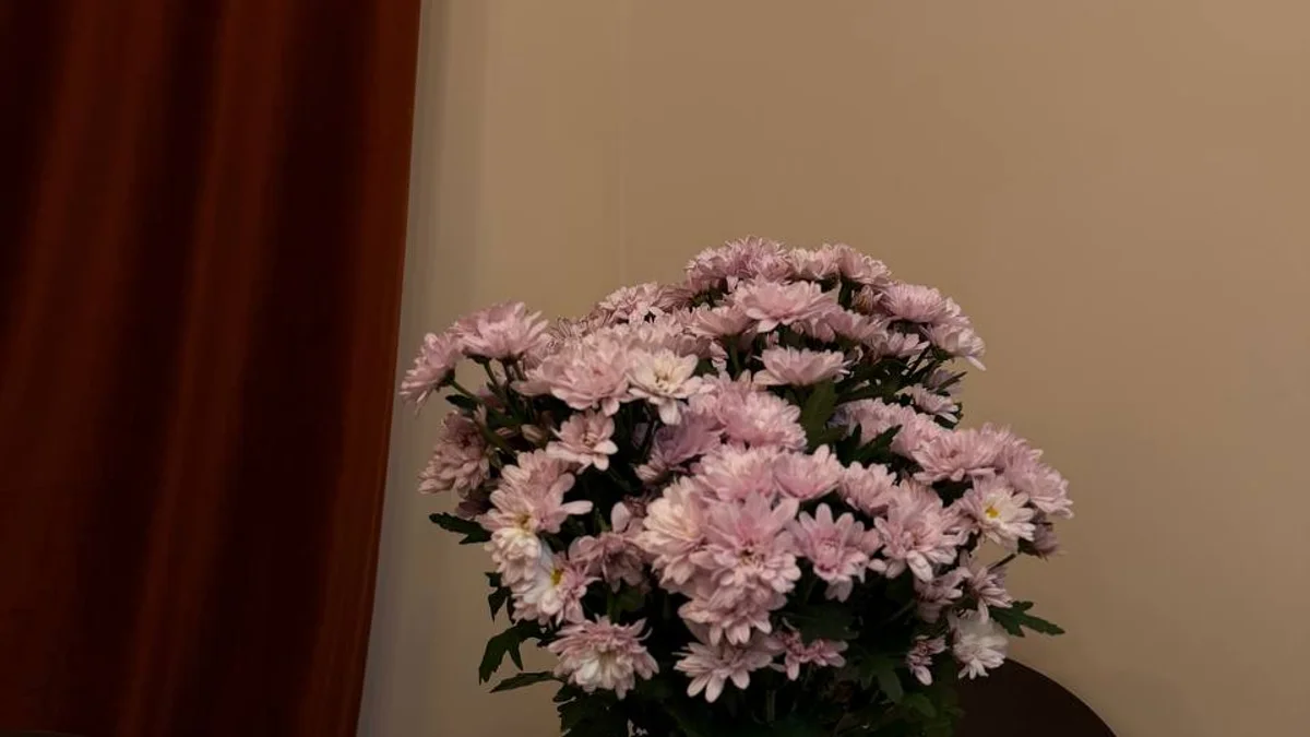 Розовые хризантемы в вазе дома